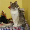 Отзыв от Альфия Жданова